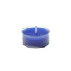 Zest Candle 1.5 In. Blue Tealight Candles (50-Pack) -Globe Sales blue zest candle candles ctz 014 64 1000