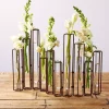 Two’s Company 13 In. High Lavoisier Set Of 10 Dark Brown Hinged Flower Vases With Antiqued Rusted Finish And Clear Glass Tubes -Globe Sales bronze two s company vases min100 r 64 1000