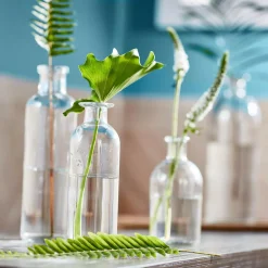 3R Studios Glass Bottle Vases With Tray (Set Of 5) -Globe Sales clear 3r studios vases da2672 4f 1000