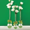Two’s Company 3-Sizes Sleek And Chic With Sage Green Ribbon Includes Clear Teardrop Vases (Set Of 3) -Globe Sales clear two s company vases 7355 64 1000
