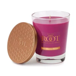 ROOT CANDLES Veriglass Blackberry Mango Scented Filled Jar Candle -Globe Sales dahlia root candles candles 8870244 76 1000