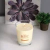 ROOT CANDLES Veriglass Sparkling Champagne Scented Filled Jar Candle -Globe Sales ivory root candles candles 8870288 64 1000