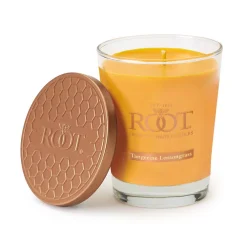 ROOT CANDLES Veriglass Tangerine Lemongrass Scented Filled Jar Candle -Globe Sales mandarin root candles candles 887041 76 1000