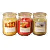 LUMABASE Scented Candles Holiday Collection In 18 Oz. Glass Jars (3 Count)