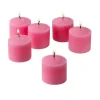 Light In The Dark 10 Hour Pink Rose Garden Scented Votive Candles (Set Of 12)