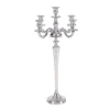 Candle Holders LITTON LANE 24 In. X 10 In. Classic Aluminum Five Light Candelabra In Polished Finish